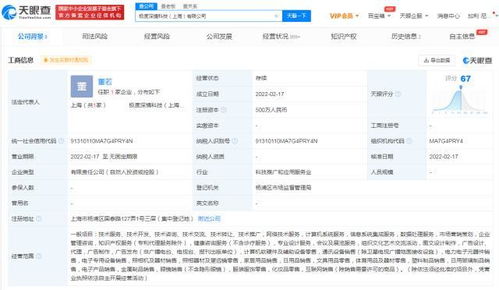 互聯(lián)網(wǎng)設(shè)備銷售 趨勢、挑戰(zhàn)與未來展望